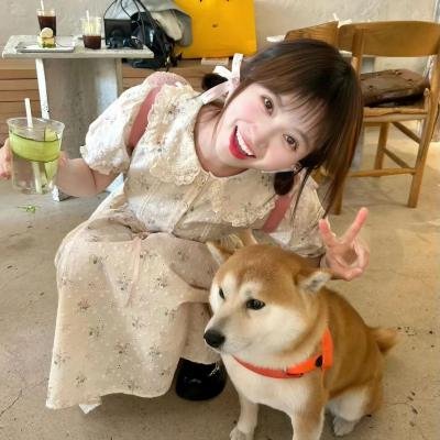 爱情喜剧 分类封面