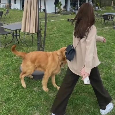 老板 海报